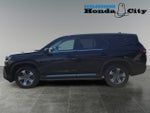 2024 Honda Pilot EX-L 7 Passenger